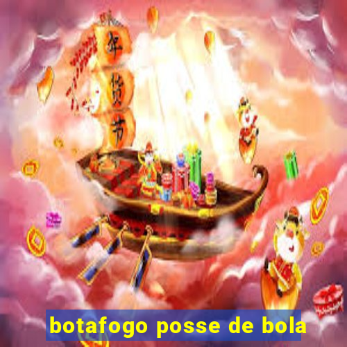 botafogo posse de bola